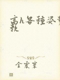 高h各种姿势调教