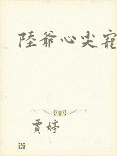 陆爷心尖宠