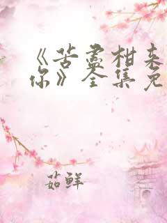 《苦尽柑来遇见你》全集免费电视剧