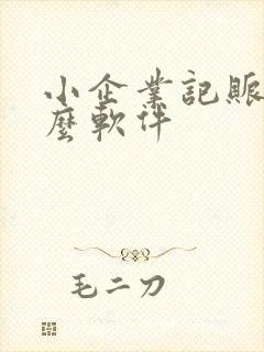 小企业记账用什么软件