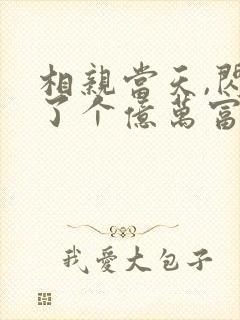 相亲当天,闪婚了个亿万富翁