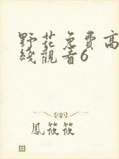 野花免费高清在线观看6