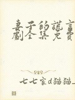 妻子的谎言电视剧全集免费一