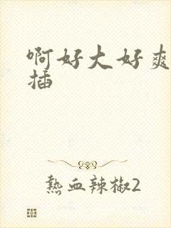 啊好大好爽用力插