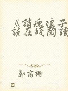 《销魂浪子》小说在线阅读