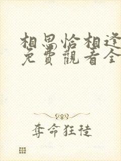 相思恰相逢短剧免费观看全集高清