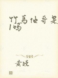 竹马他哥是1v1吗