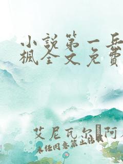 小说第一兵王于枫全文免费阅读