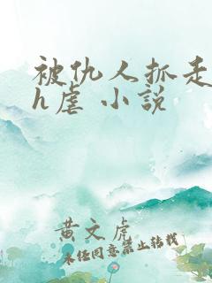 被仇人抓走囚禁h虐 小说