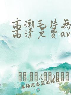 高潮毛片无遮挡高清免费av