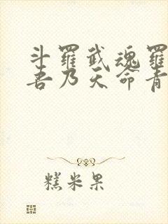 斗罗武魂罗三炮吾乃天命青龙免费