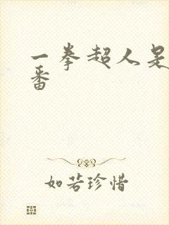 一拳超人是什么番