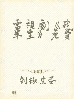 电视剧《我的后半生》免费观看