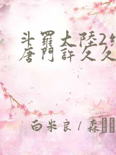 斗罗大陆2绝世唐门许久久