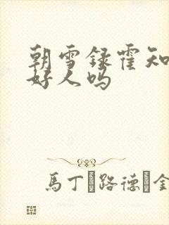 朝雪录霍知府是好人吗