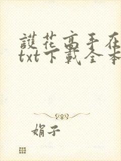 护花高手在都市txt下载全本