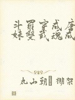 斗罗穿成唐三亲妹双武魂成神了