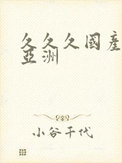 久久久国产精品亚洲