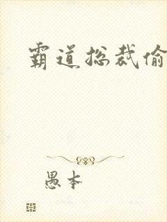 霸道总裁偷心妻