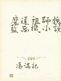 魔道祖师魏无羡蓝忘机小说