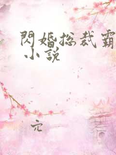 闪婚总裁霸道宠 小说