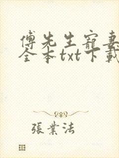 傅先生宠妻无度全本txt下载