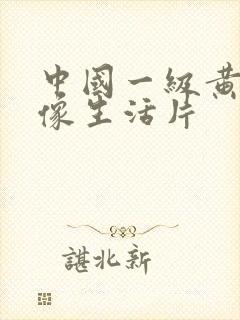 中国一级黄色录像生活片
