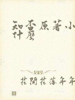 知否原著小说叫什么