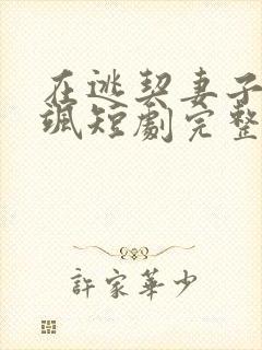 在逃契妻子美又飒短剧完整版