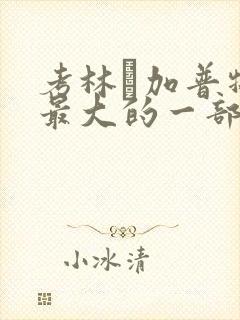 考林·加普牺牲最大的一部电影