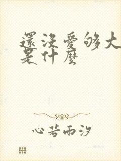 还没爱够大结局是什么