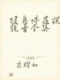 候鸟停在谎言季观看全集