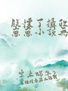 朕怀了摄政王的崽崽小说无广告