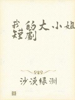 我的大小姐老婆短剧