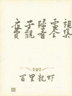 夜子归电视剧免费观看全集高清