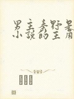 男主秦野是哪部小说的主角