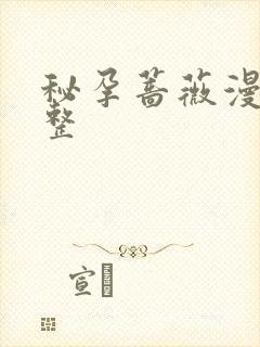 秘孕蔷薇漫画完整