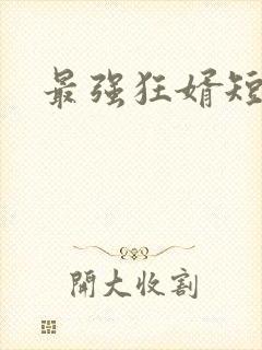 最强狂婿短剧