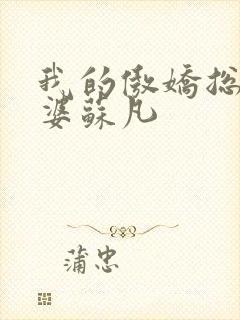 我的傲娇总裁老婆苏凡