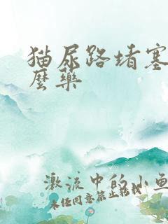 猫尿路堵塞吃什么药