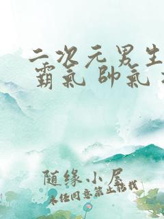 二次元男生头像 霸气 帅气 冷酷