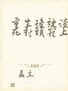 重生后被渣男的死对头宠上天