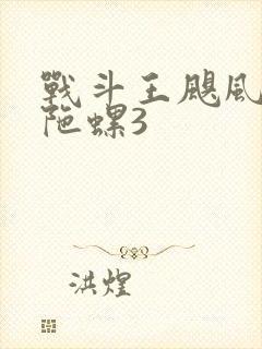 战斗王飓风战魂陀螺3