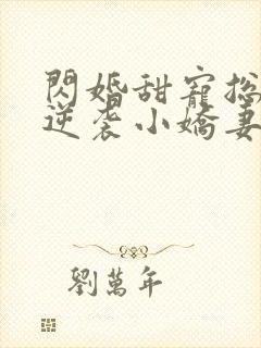 闪婚甜宠总裁的逆袭小娇妻