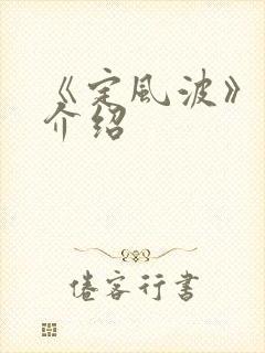 《定风波》剧集介绍