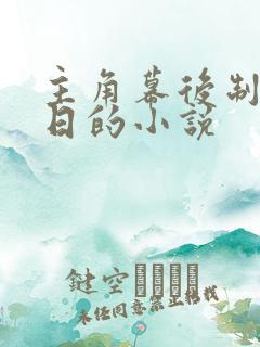 主角幕后制造末日的小说