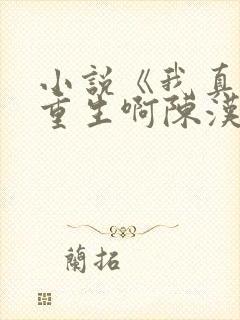 小说《我真没想重生啊陈汉升》