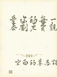 爱你的每一个我泰剧免费观看