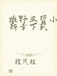 撒野巫哲小说最新章下载