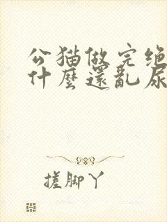 公猫做完绝育为什么还乱尿